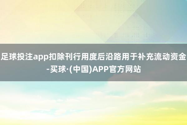 足球投注app扣除刊行用度后沿路用于补充流动资金-买球·(中国)APP官方网站