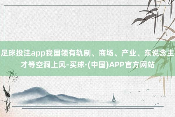 足球投注app我国领有轨制、商场、产业、东说念主才等空洞上风-买球·(中国)APP官方网站