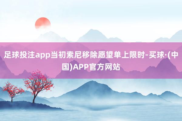 足球投注app当初索尼移除愿望单上限时-买球·(中国)APP官方网站