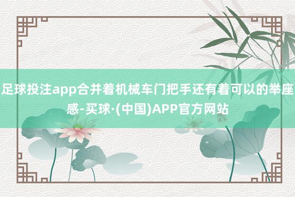 足球投注app合并着机械车门把手还有着可以的举座感-买球·(中国)APP官方网站