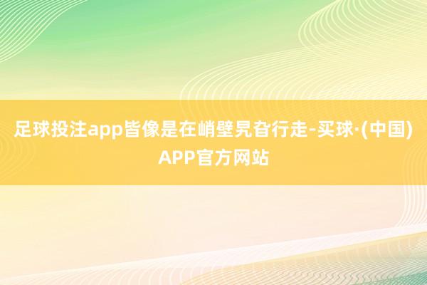 足球投注app皆像是在峭壁旯旮行走-买球·(中国)APP官方网站