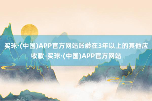买球·(中国)APP官方网站账龄在3年以上的其他应收款-买球·(中国)APP官方网站