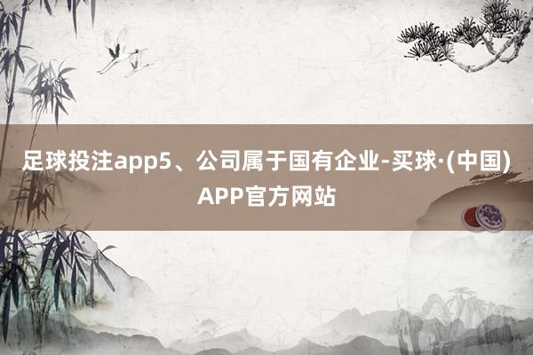足球投注app5、公司属于国有企业-买球·(中国)APP官方网站