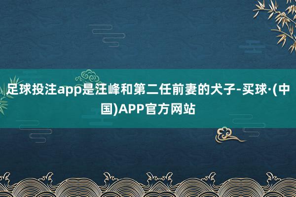 足球投注app是汪峰和第二任前妻的犬子-买球·(中国)APP官方网站