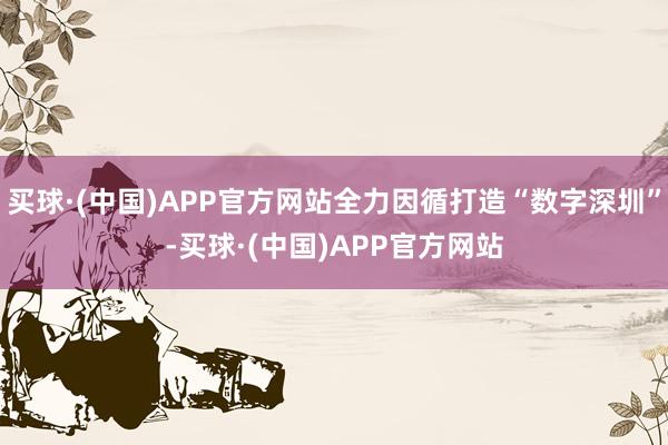 买球·(中国)APP官方网站全力因循打造“数字深圳”-买球·(中国)APP官方网站