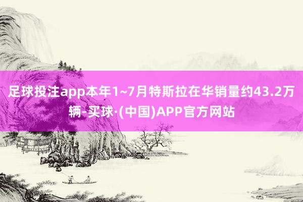 足球投注app本年1~7月特斯拉在华销量约43.2万辆-买球·(中国)APP官方网站