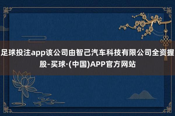 足球投注app该公司由智己汽车科技有限公司全资握股-买球·(中国)APP官方网站
