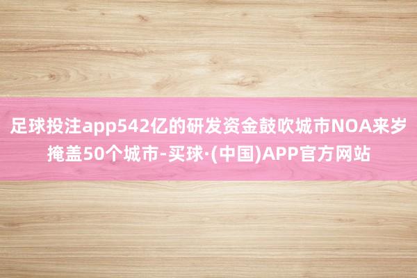 足球投注app542亿的研发资金鼓吹城市NOA来岁掩盖50个城市-买球·(中国)APP官方网站