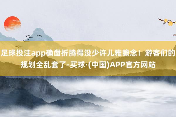 足球投注app确凿折腾得没少许儿雅瞻念！游客们的规划全乱套了-买球·(中国)APP官方网站