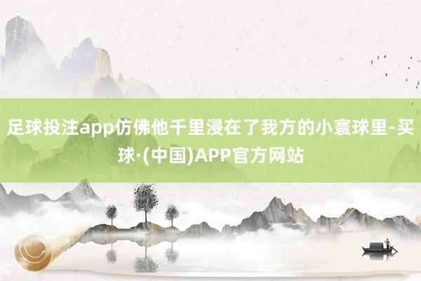 足球投注app仿佛他千里浸在了我方的小寰球里-买球·(中国)APP官方网站
