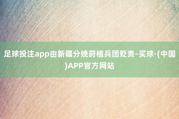 足球投注app由新疆分娩莳植兵团贬责-买球·(中国)APP官方网站