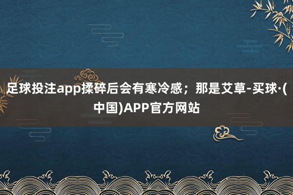 足球投注app揉碎后会有寒冷感；那是艾草-买球·(中国)APP官方网站