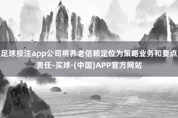 足球投注app公司将养老信赖定位为策略业务和要点责任-买球·(中国)APP官方网站