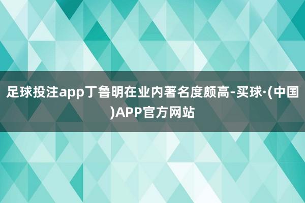 足球投注app丁鲁明在业内著名度颇高-买球·(中国)APP官方网站