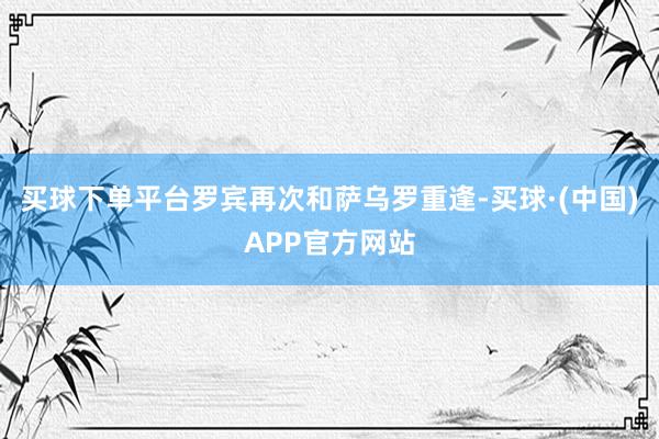 买球下单平台罗宾再次和萨乌罗重逢-买球·(中国)APP官方网站