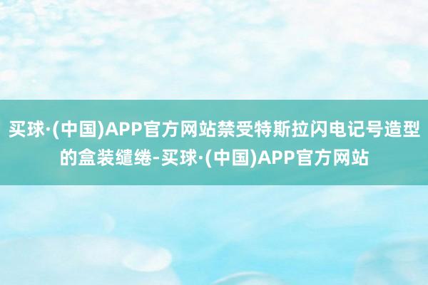 买球·(中国)APP官方网站禁受特斯拉闪电记号造型的盒装缱绻-买球·(中国)APP官方网站