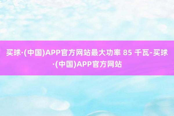 买球·(中国)APP官方网站最大功率 85 千瓦-买球·(中国)APP官方网站