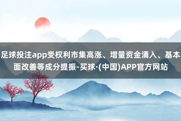 足球投注app受权利市集高涨、增量资金涌入、基本面改善等成分提振-买球·(中国)APP官方网站